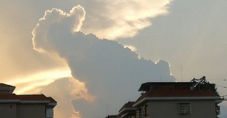 Uczyła się do egzaminu. Gdy wyjrzała przez okno, od razu poczuła się lepiej