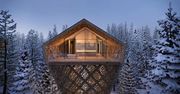 7-gwiazdkowy hotel. Powstanie w koronach austriackich drzew