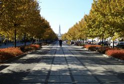 Atak na tle rasowym Częstochowie. Pijany 39-latek ubliżał obywatelowi Indii, próbował go uderzyć