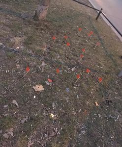 Mieszkańcy Kabat oflagowali psie odchody. "Psiebiśniegi"