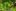 iRecenzja: The Settlers iPhone