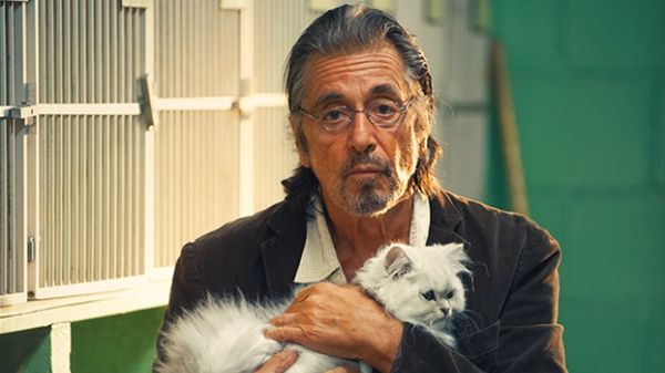 "Manglehorn" z Alem Pacino w roli głównej to jeden z wielu filmów, w którym grały zwierzęta Sida Yosta