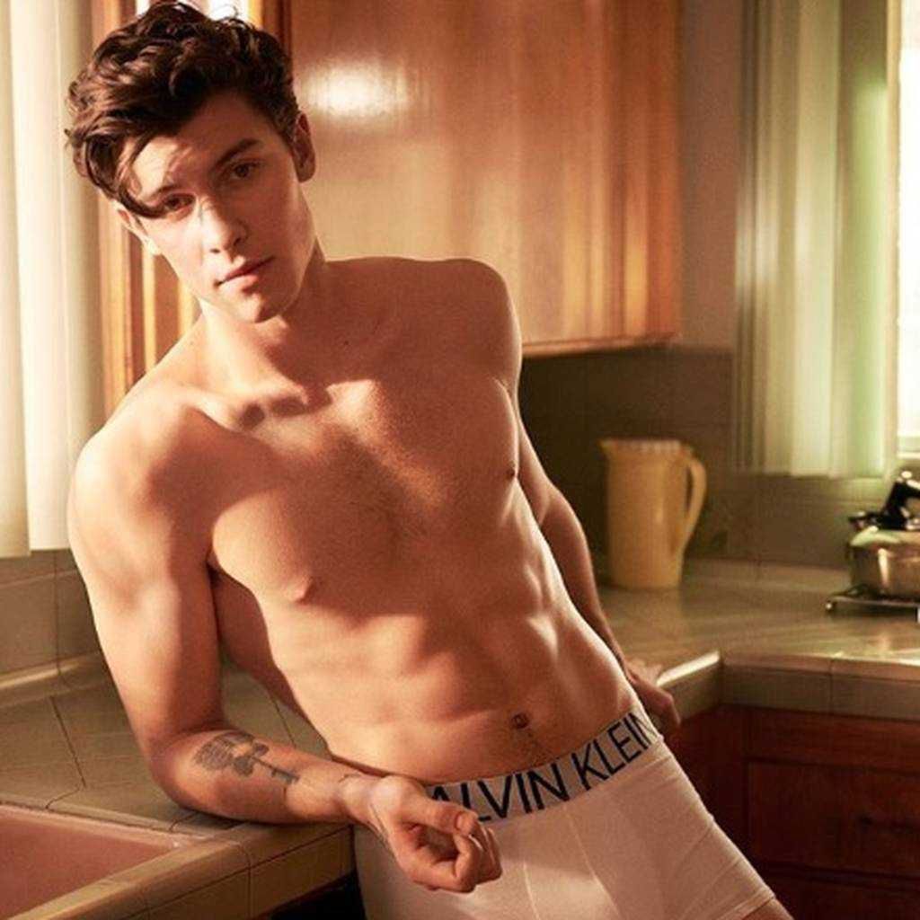 Jakiej orientacji seksualnej jest Shawn Mendes? Czy jest gejem?