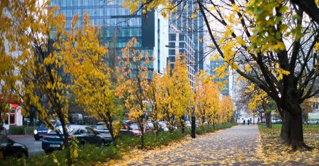 Warszawa. Zakaz stosowania dmuchaw na terenach miejskich