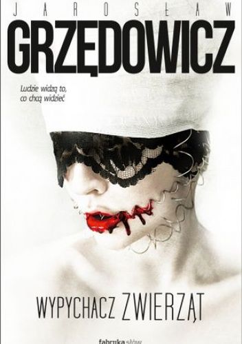 Obraz