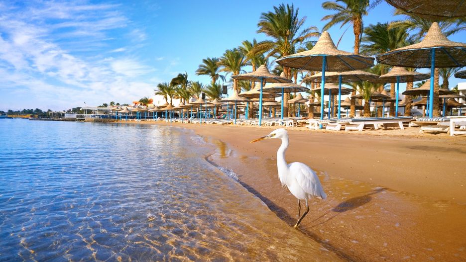 Hurghada to najpopularniejszy wśród Polaków kurort w Egipcie