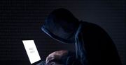 Polski rynek e-commerce ma problemy z bezpieczeństwem. 80 proc. sklepów padło ofiarą ataku