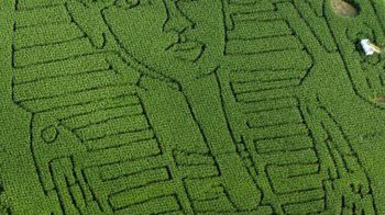 Kukurydziane dzieło