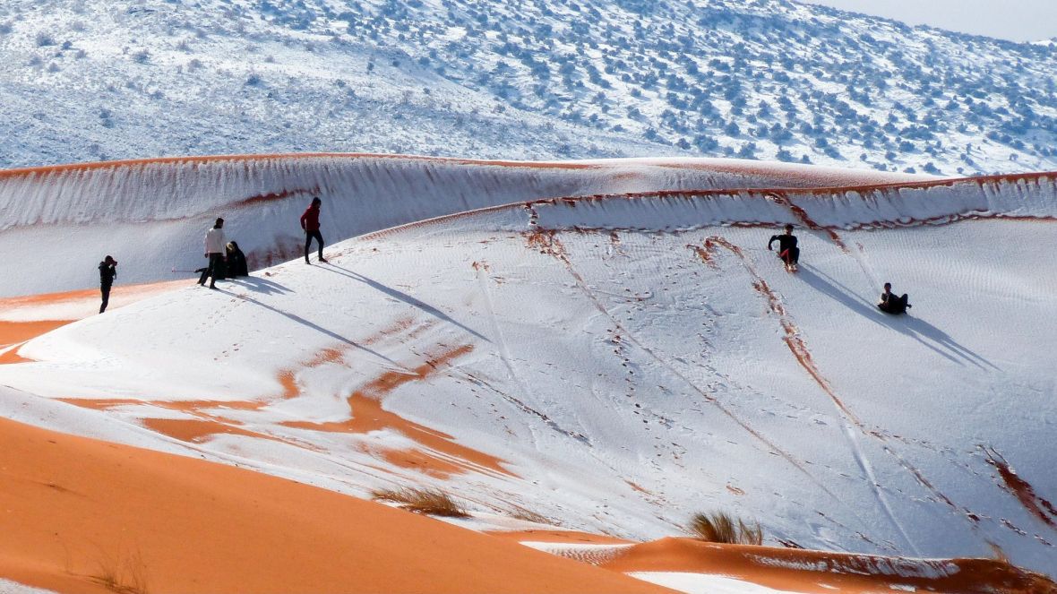 Sahara zieloną oazą? Tak jest co 20 tysięcy lat, odkryli naukowcy