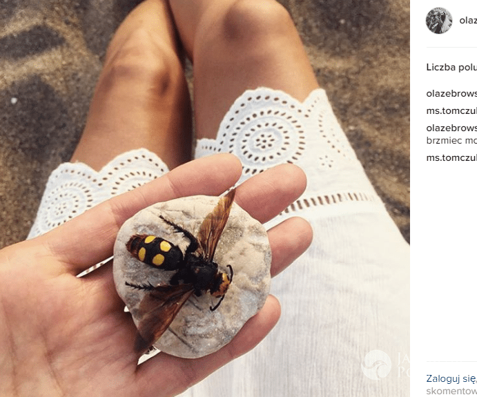 Ciało żony Michała Żebrowskiego