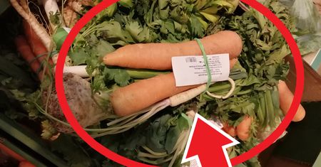 Pietruszka tylko dla bogatych? Ceny szybują