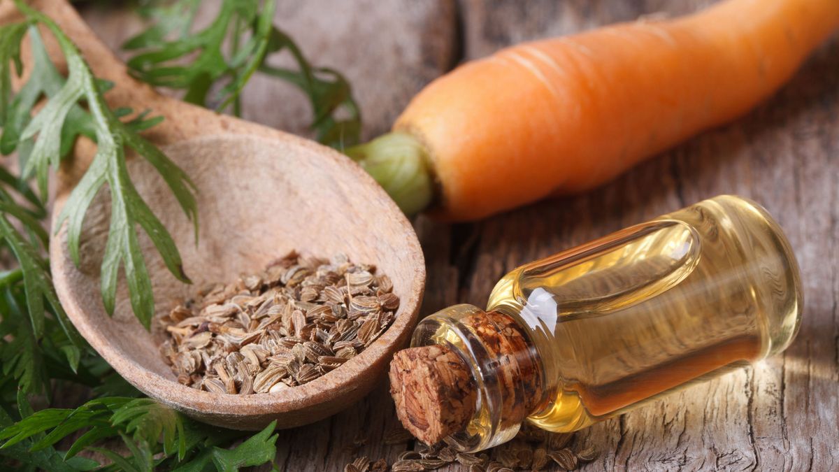Olej z nasion marchwi stymuluje odnowę komórkową i przyspiesza regenerację skóry