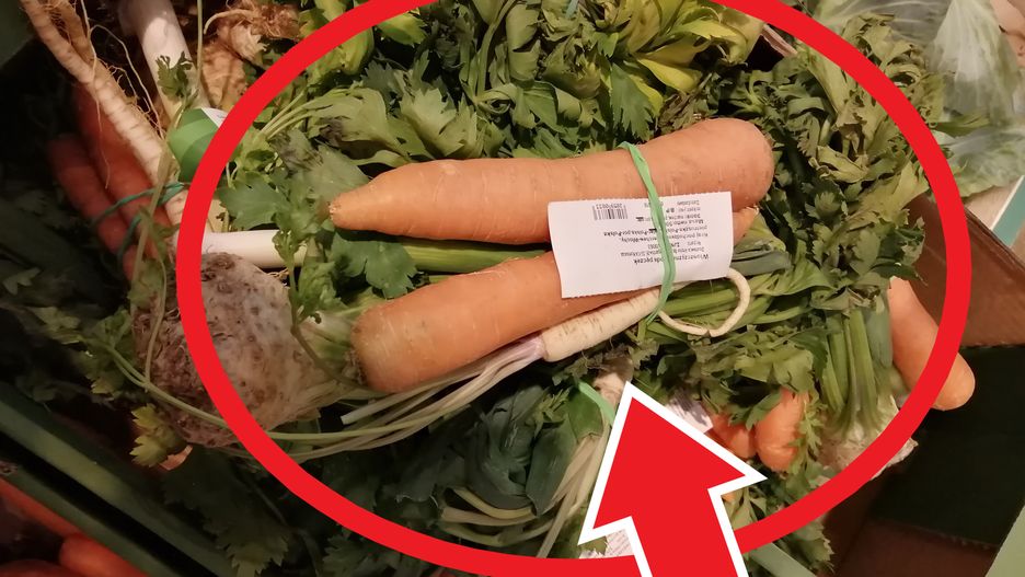 Anemiczna pietruszka wypada dość blado przy megamarchewkach 