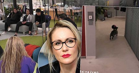 Wybuchł wielki skandal wokół "Big Brothera"! Producenci zabawili się psem jednego z uczestników! Małgorzata Ohme oburzona!