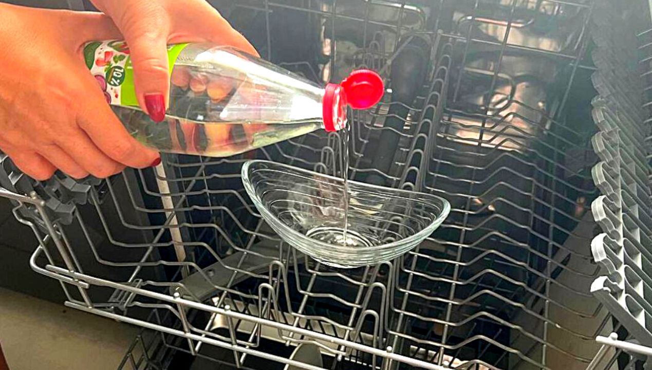 A Way to Get Rid of Dirt and Bad Smell from the Dishwasher