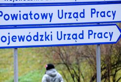 Współpraca urzędów pracy z agencjami zatrudnienia