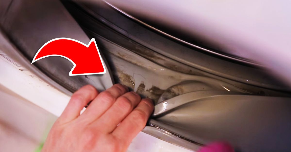 A Simple Way to Clean Your Washing Machine. You Will Get Rid of the Stench of Mould From Your Washed Clothes