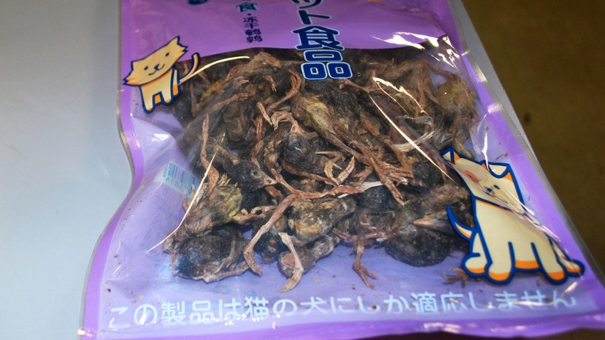 Paczka chińskiej "karmy dla zwierząt" została skonfiskowana i spalona przez amerykańskie służby celne