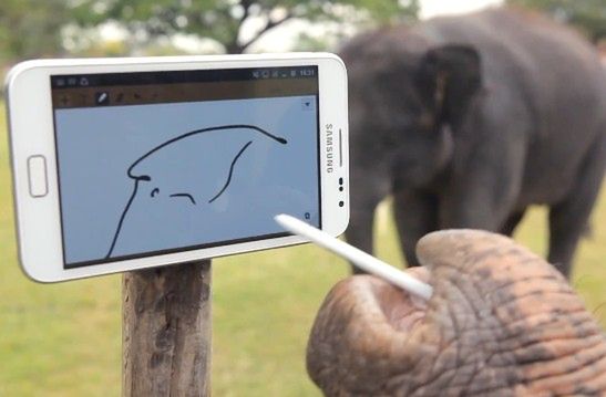 Słoń obsługuje Galaxy Note'a... trąbą