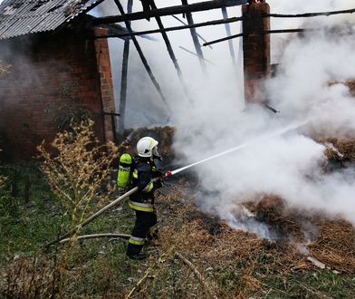 Pogoda. Niszczycielska burza przeszła przez Wielkopolskę