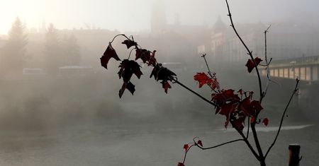 Prognoza pogody na dziś - 15 listopada. Kolejny dzień z niskimi temperaturami. Idzie zima