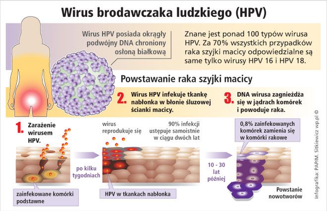 HPV? A co to jest?!