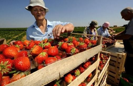 Zaniżają pensje, unikają podpisywania umów. Jak oszukują za Odrą?