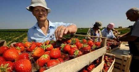 Zaniżają pensje, unikają podpisywania umów. Jak oszukują za Odrą?