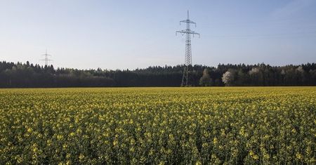 Rolnik spod Jasła na Podkarpaciu znalazł wyroby ze złota sprzed 2 tys. lat na swoim polu