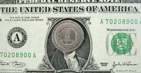 Złoty źle reaguje na decyzję EBC. Najwięcej traci do dolara