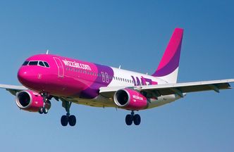 Tanie linie lotnicze. Coraz więcej pasażerów lata z Wizz Air