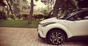 Toyota C-HR - modny crossover