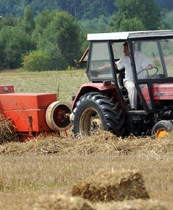 Bezrobocie schowało się na wsi