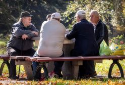 Bezdomny oprowadzał po krakowskiej Nowej Hucie. Ludzie pokochali pana Tadeusza