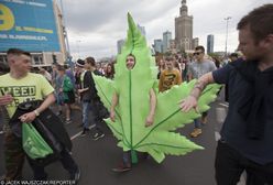 Marihuana medyczna legalna od 1 listopada. W praktyce, nadal będzie niedostępna