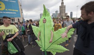 Marihuana medyczna legalna od 1 listopada. W praktyce, nadal będzie niedostępna