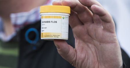 Medyczna marihuana w "niekończących się opakowaniach". Handel w internecie kwitnie