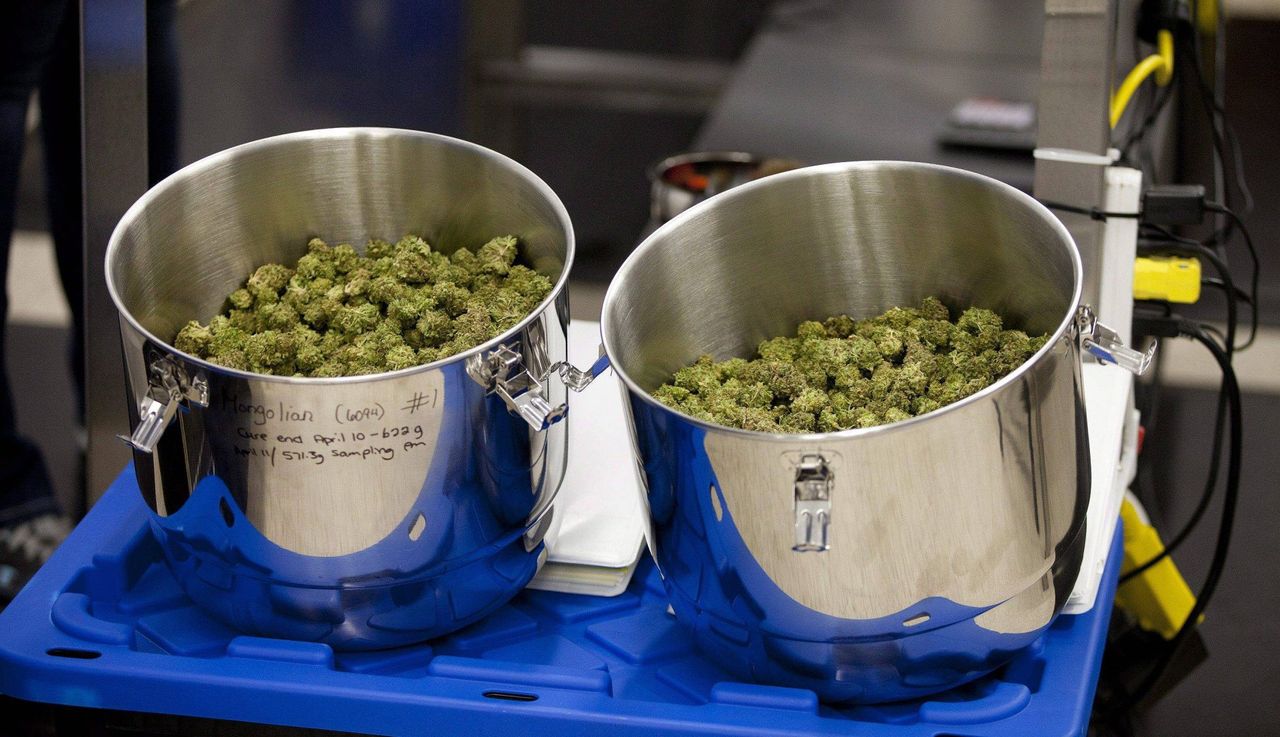 "Powiedzieli mamie, że zostało mi 9 miesięcy". Żeby przeżyć, musiał stać się przestępcą