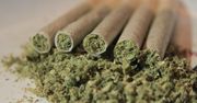 Legalizacja marihuany na wyspie Jersey. Ma przyciągnąć turystów