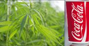 Coca-Cola chce stworzyć napój z marihuaną