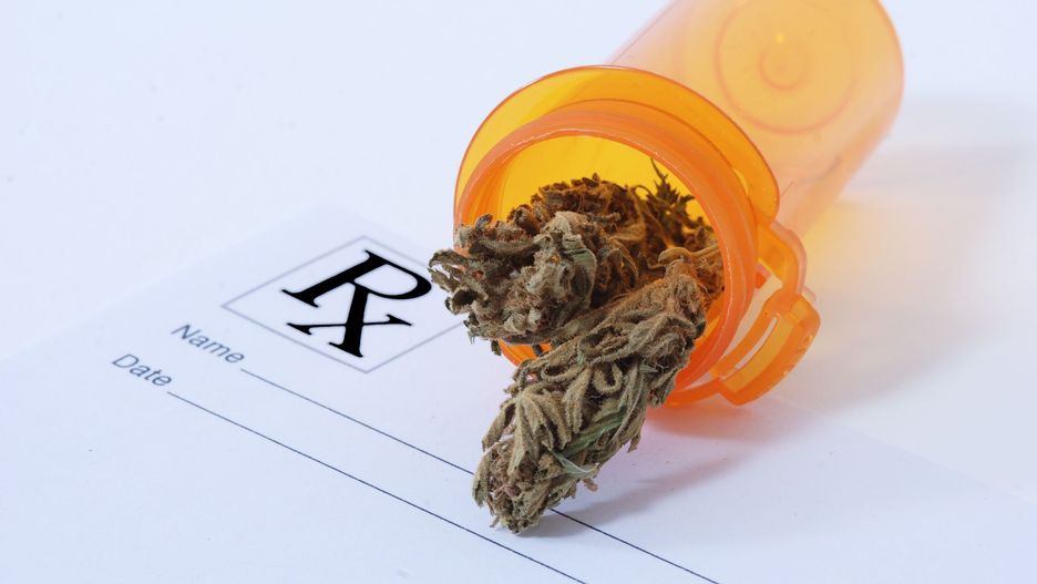 Marihuana bardzo skutecznie łagodzi bóle nowotworowe.