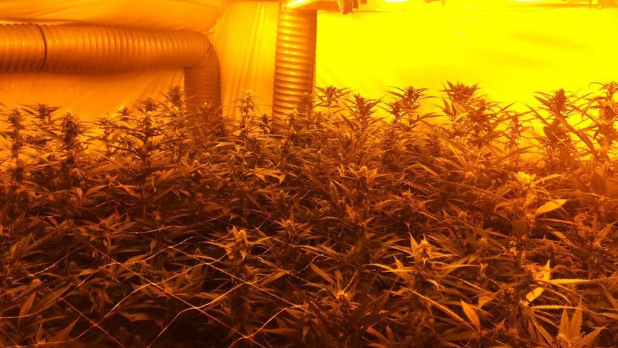 Zarzuty przedstawiono już czterem zatrzymanym 