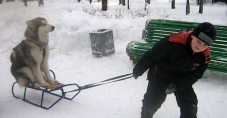 Na dobry początek dnia. Te zdjęcia poprawią ci humor