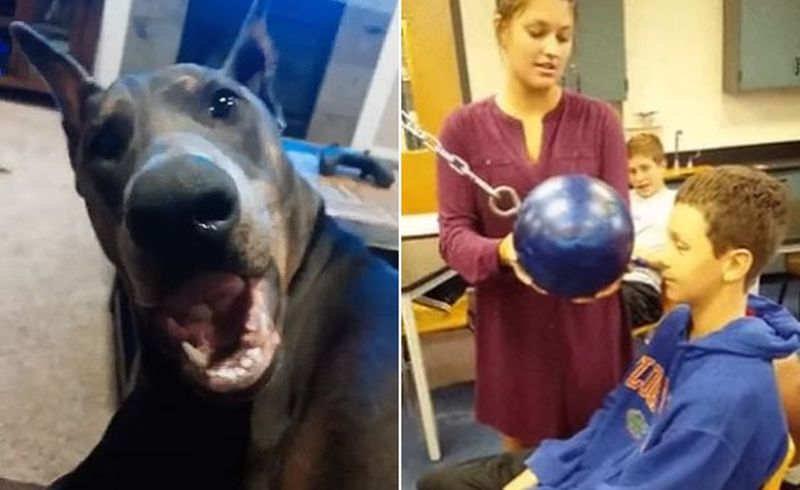 Zobacz to, a uśmiechniesz się od ucha do ucha