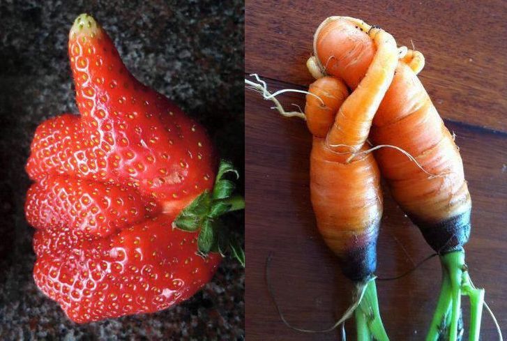 Natura potrafi być zabawna