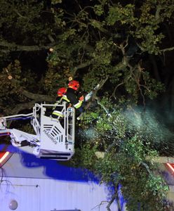 Orkan Ksawery dotarł nad Polskę. Tysiące ludzi bez prądu, opóźnione pociągi