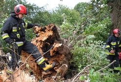 Fatalne skutki wichur nad Polską. Ostrzeżenia dla kilku województw