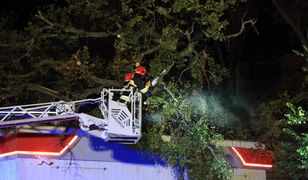 Orkan Ksawery dotarł nad Polskę. Tysiące ludzi bez prądu, opóźnione pociągi