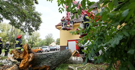 Pogoda. Mortimer idzie przez Polskę. Wichura powala drzewa, ranni na drogach