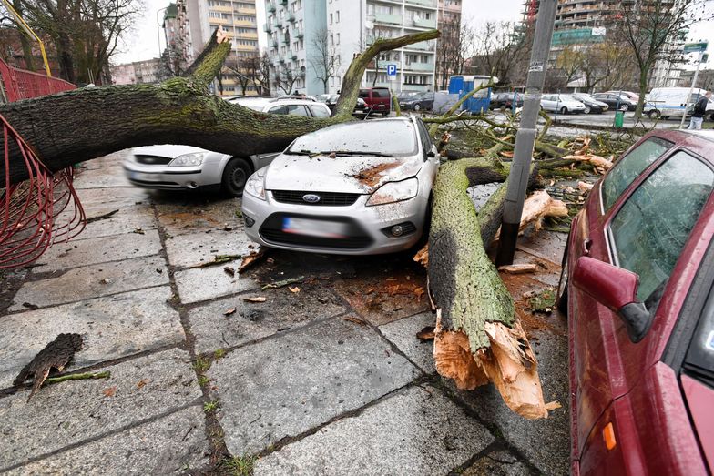 Idą burze z silnymi wiatrami i gradem, który może niszczyć samochody. 